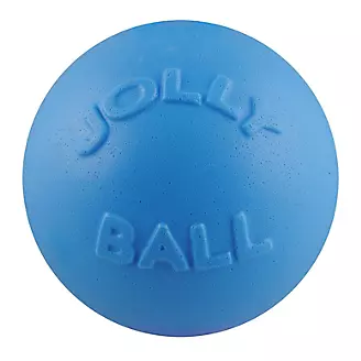 Bounce and Play Ball Dog Toy
