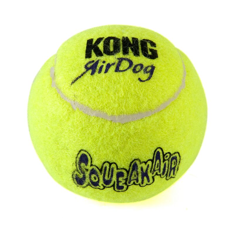 squeaky tennis ball