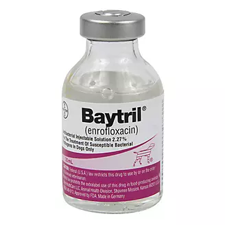 Baytril Injectable Solution 2.27 Percent 20ml