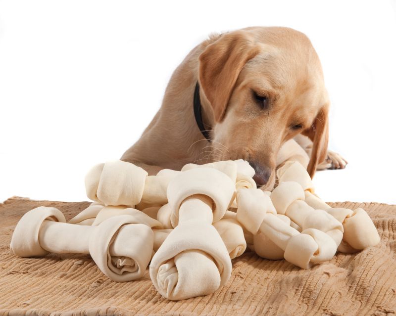 Jumbo rawhide dog discount bones