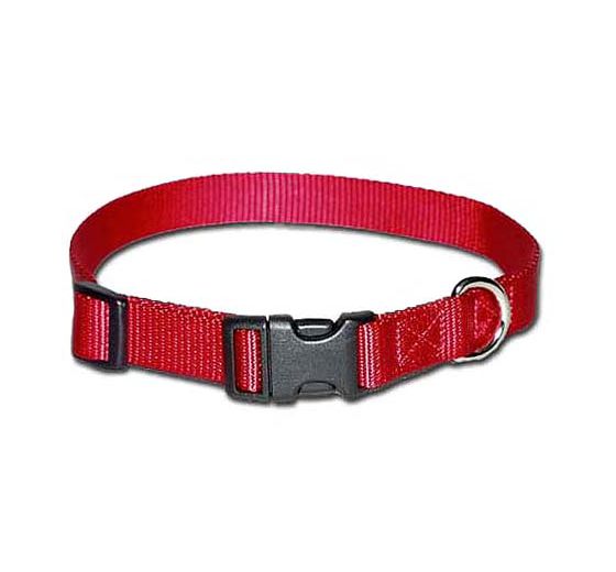 Collar me Happy!
