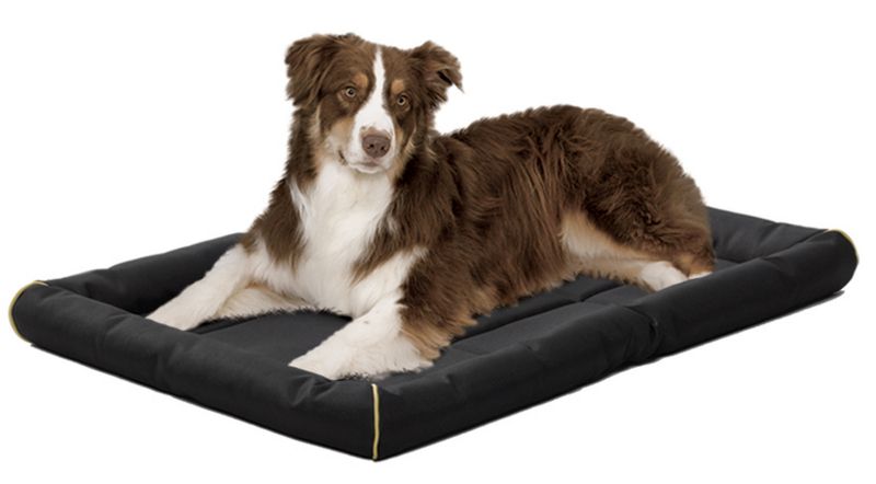 Pet Beds & Crate Mats: Average savings of 39% at Sierra