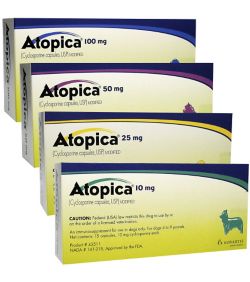 Guide To Atopica For Dogs Uses Dosage Side Effects Dognutrition Com