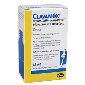 is clavamox safe for pregnant dog