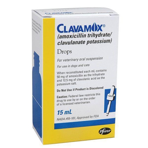 can clavamox cause vomiting in dogs