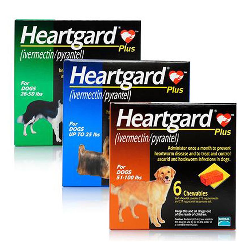 Heartgard Plus Chewables Up to 25lb 6 Month