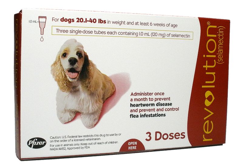 revolution for dogs 21 40 lbs