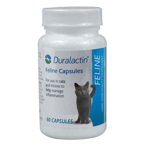 Duralactin for Cats - 60 Count 60 ct (MWI ANIMAL HEALTH 022415 685687038296 Cat Supplies) photo