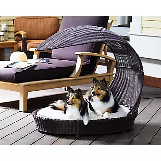 Refined Canine Indoor Outdoor Dog Chaise Lounger