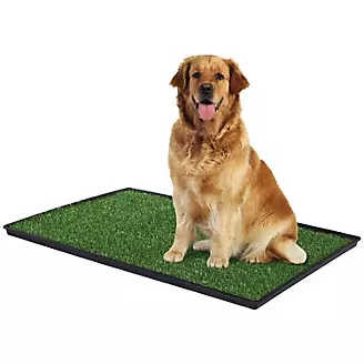 The Tinkle Turf Indoor Dog Potty