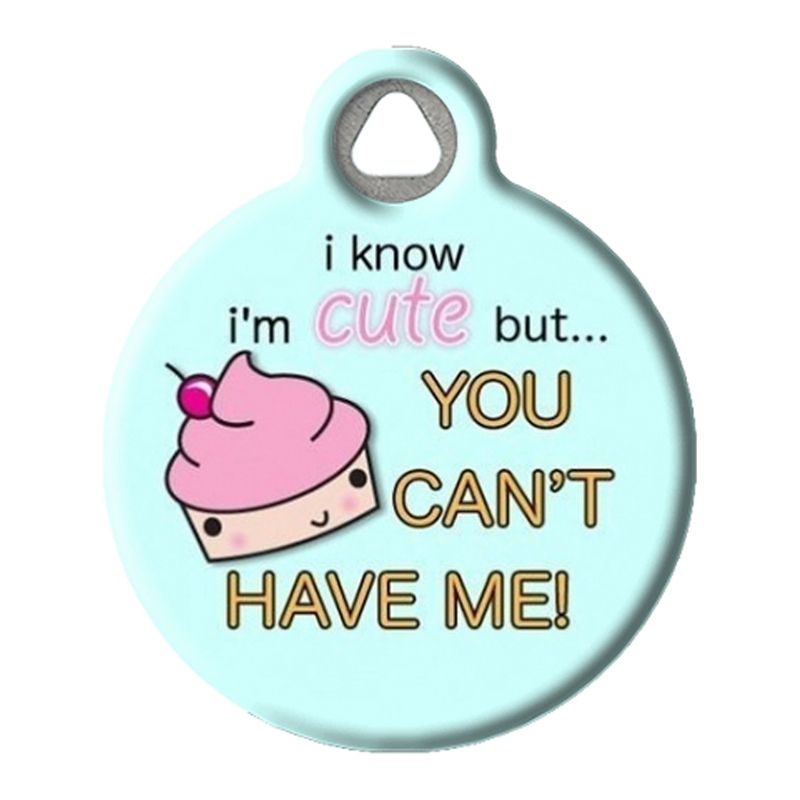 cool pet id tags
