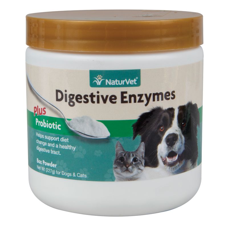 mineral oil enema for cats