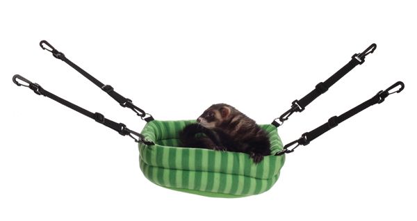 Marshall 2-in-1 Ferret Bed