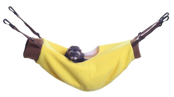 Marshall Ferret Banana Hammock