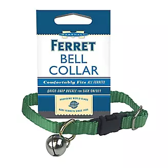 Marshall Ferret Bell Collar