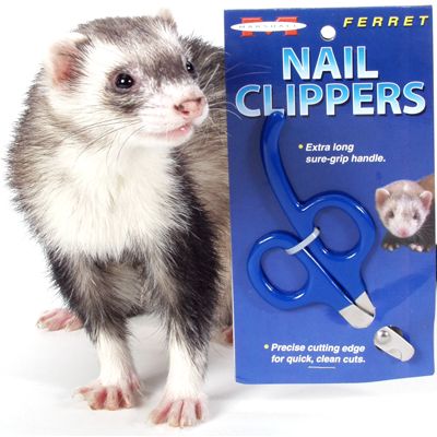 Marshall Nail Clipper for Ferrets