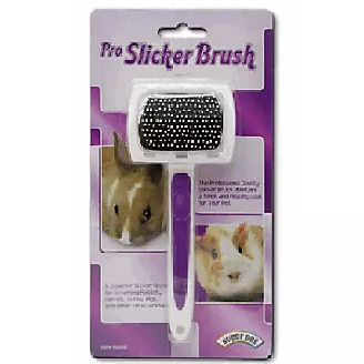 Kaytee Pro Slicker Brush for Ferrets