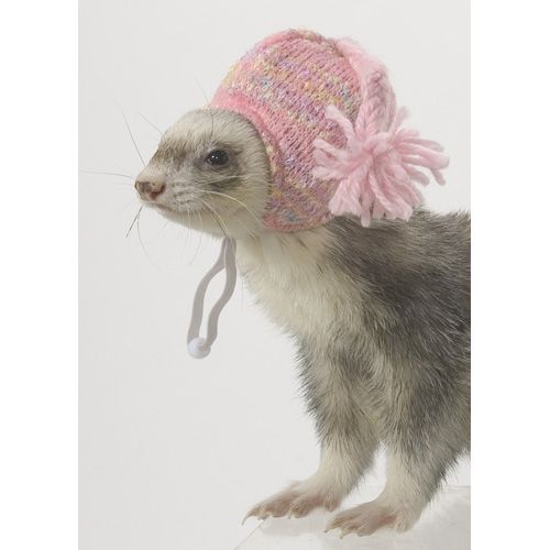 Marshall Ferret Knit Cap Pink (FW-318 766501003185 Ferret Supplies Clothes All Clothes) photo