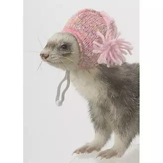 Marshall Ferret Knit Cap Pink