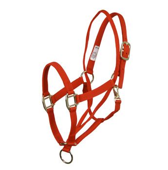 Basic Pull Back Training Halter Red