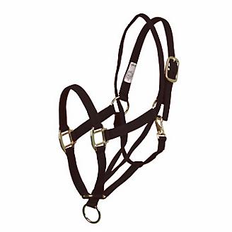 Rope Halter Side Pull and 12ft Training Line Quality to Love! 