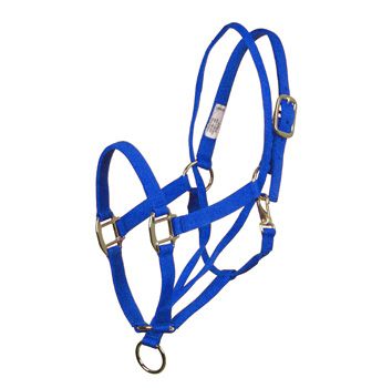 Basic Pull Back Training Halter Blue