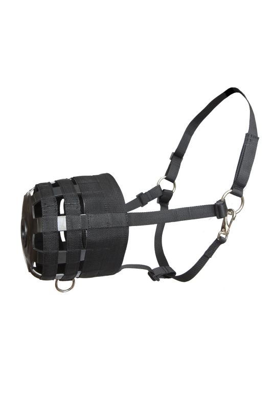 Economy Nylon Halter Grazing Muzzle Cob