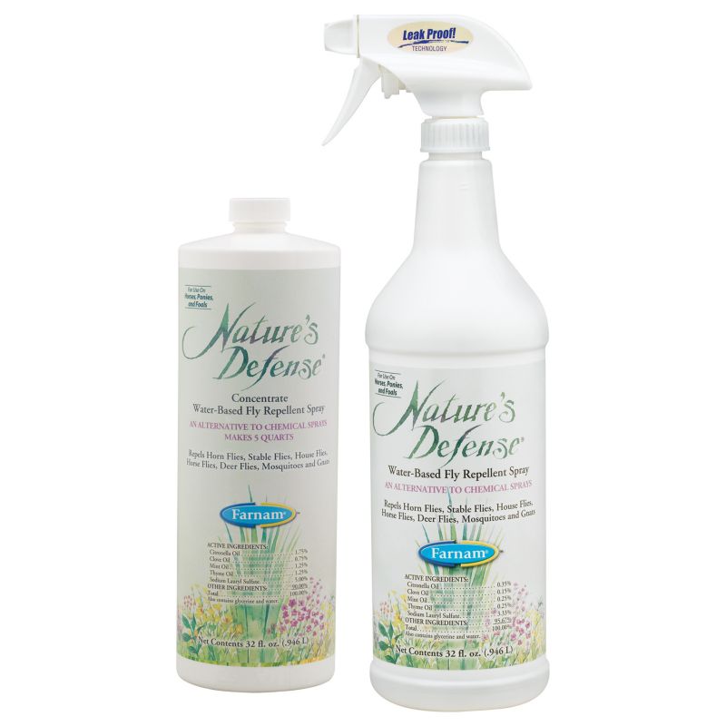 Top 21 Best Fly Sprays For Horses That Work in 2023