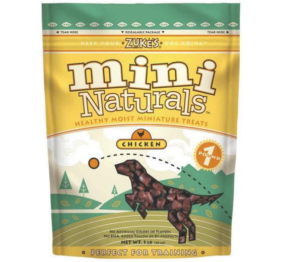 Healthy Dog Treats