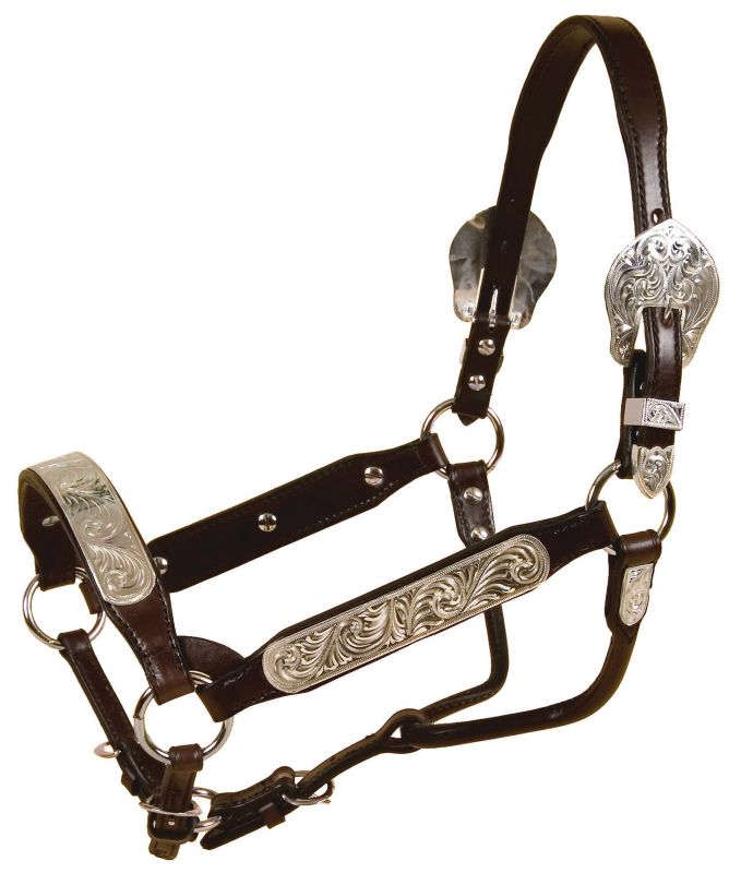 Royal King Silver Mini Show Halter - Bridle Leather With Silver Trim, Includes Lead (Dark Oil)