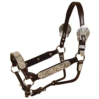 Tory Rochester Congress Show Halter w/Lead