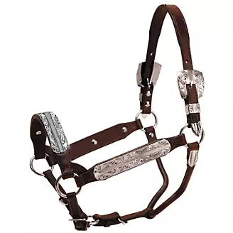 Tory Morristown Show Halter w/Lead