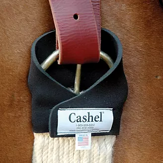 Cashel Ring Master