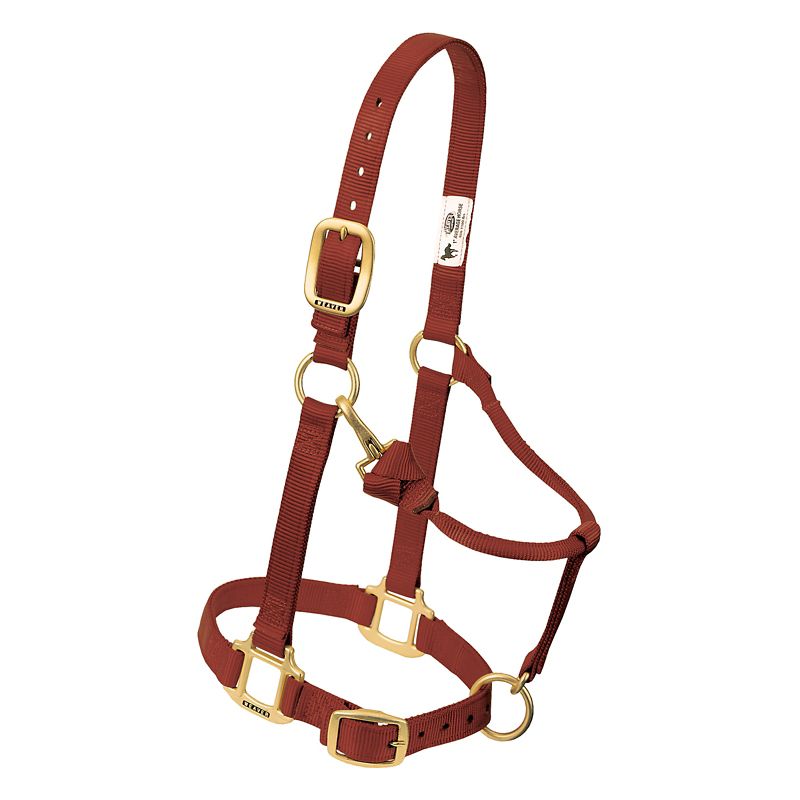 Weaver Original Adj Halter w/Snap Yearling Cinnamo -  WEAVER LEATHER, 35-7033-43