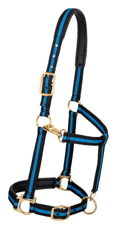Weaver Leather Padded Adjustable Halter L Blue