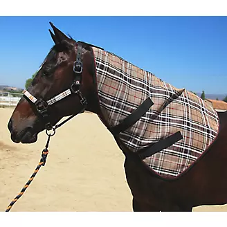 Style Your Horse For Fall- Equine Style Guide 2018– Andrea Equine