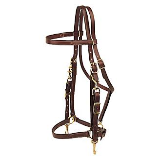 Horse breast collar leather western oakbark  horse brass fittings Tory leather 