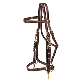 Tory Halter Trail Bridle