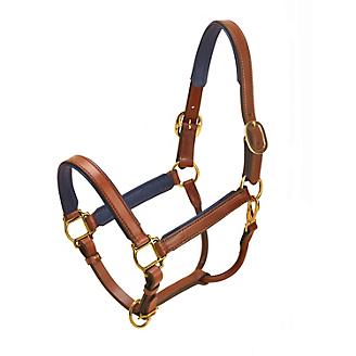 Tory Padded Leather Halter