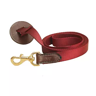 Tory Leather and Nylon Lead