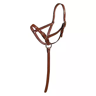 Tory Foal Slip Halter with Grab Strap