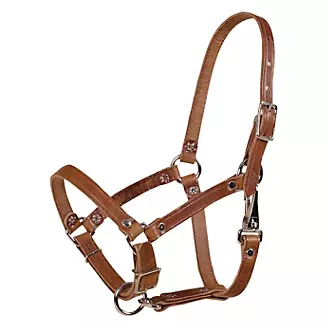 Tory Safety Rivet Foal Leather Halter with Snap