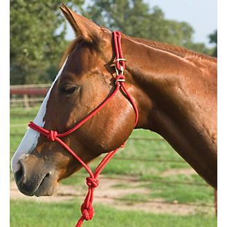 Adjustable Rope Cow Halter Drovers Saddlery