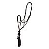 Mustang Mountain Rope Halter with Lead