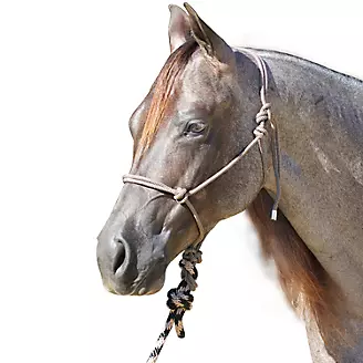 Professionals Choice Rope Halter with Lead