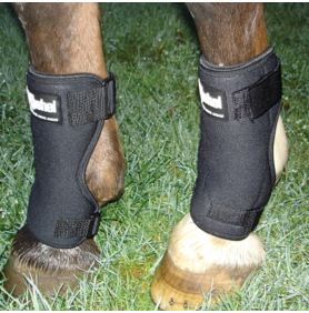 ISO: Stall/bed sore boots | The Horse Forum