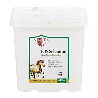 Vita Flex E and Selenium
