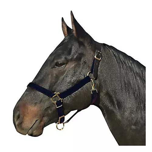 Leather Crown Nylon Breakaway Halter - Horse.com - WarehouseOutlet