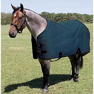 Mustang Canvas Turnout Blanket
