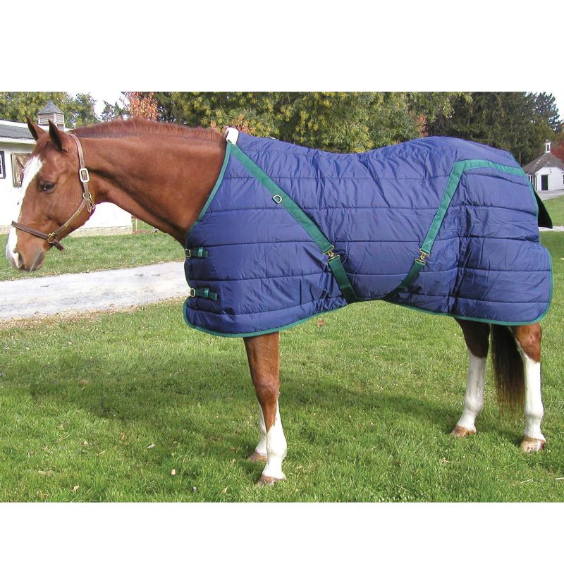 INTREPID INTERNATIONAL SR68